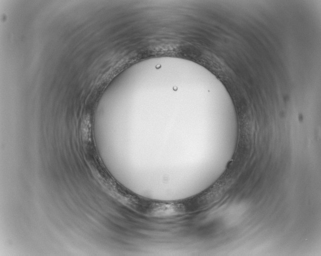 X0000054470083200508191739