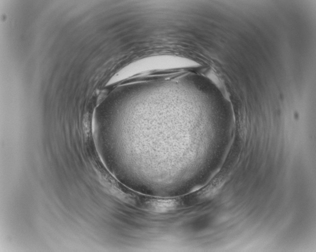 X0000054470085200508191739