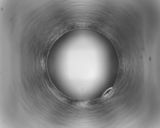 X0000054470086200508191739