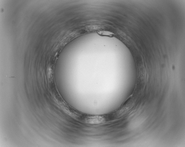 X0000054470087200508191739