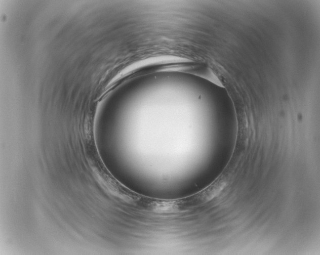 X0000054470088200508191739