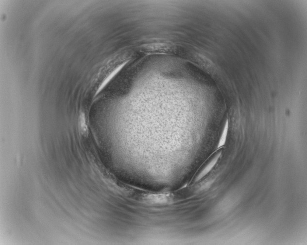 X0000054470089200508191739