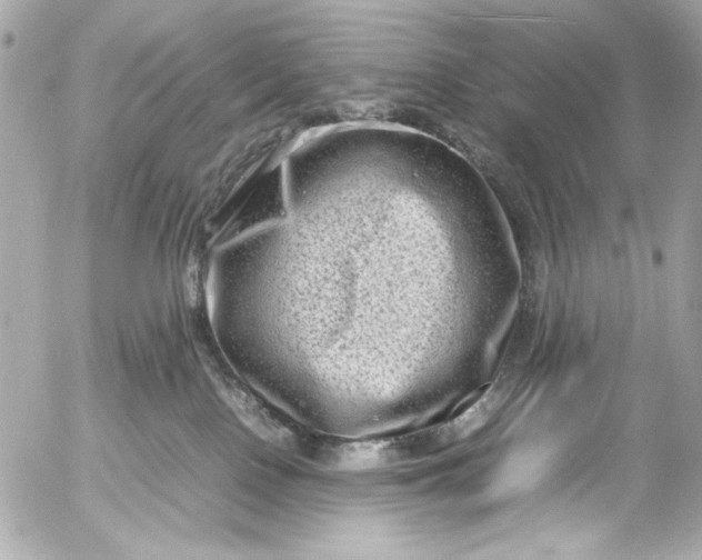 X0000054470090200508191739