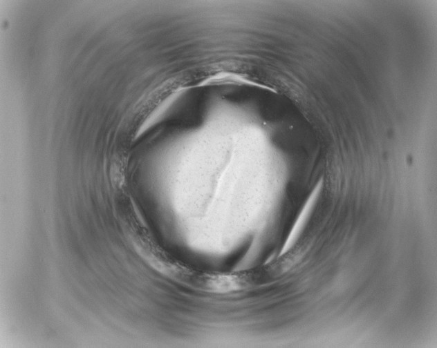 X0000054470091200508191739