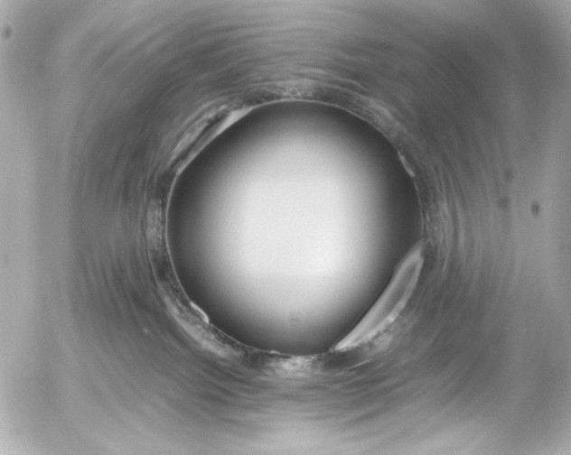 X0000054470092200508191739