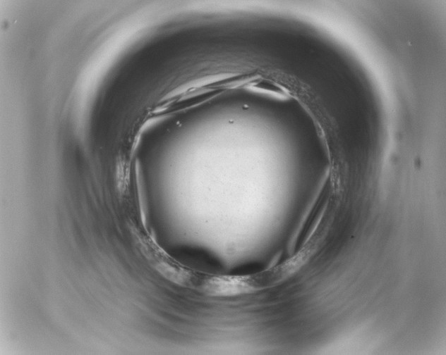 X0000054470093200508191739