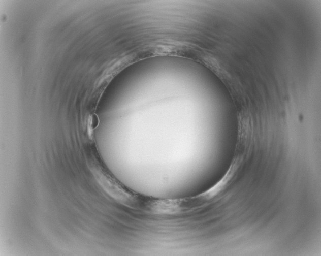 X0000054470094200508191739