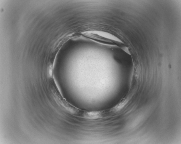 X0000054470095200508191739