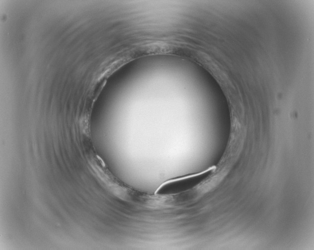 X0000054470096200508191739