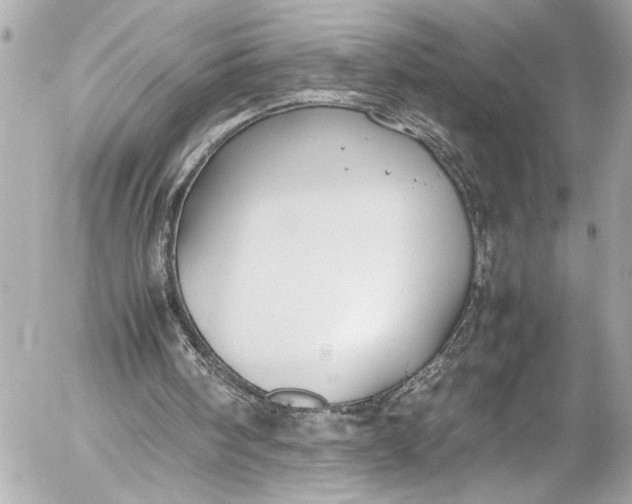 X0000054470098200508191738