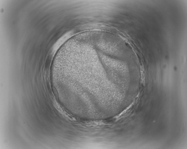 X0000054470099200508191738