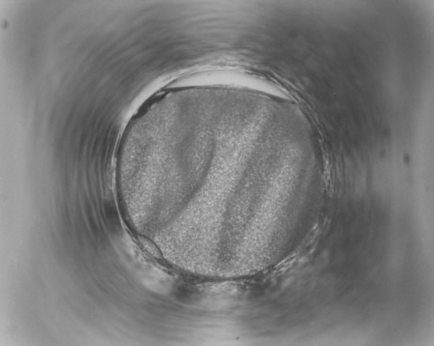 X0000054470100200508191738