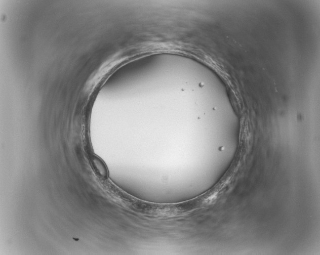 X0000054470103200508191738