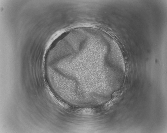 X0000054470104200508191738