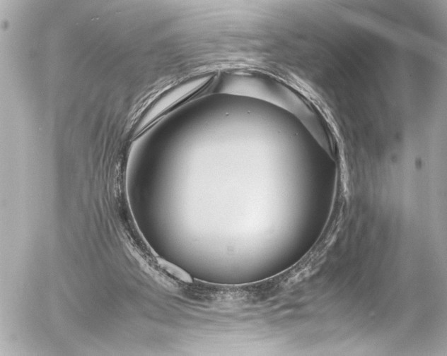 X0000054470105200508191738