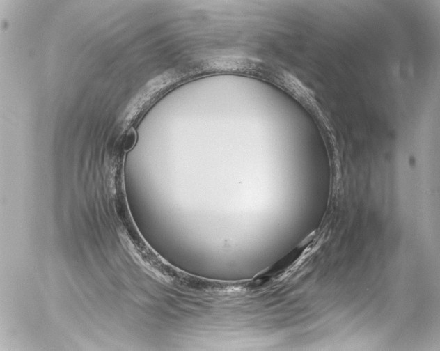 X0000054470106200508191738