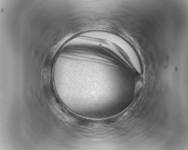 X0000054470107200508191738