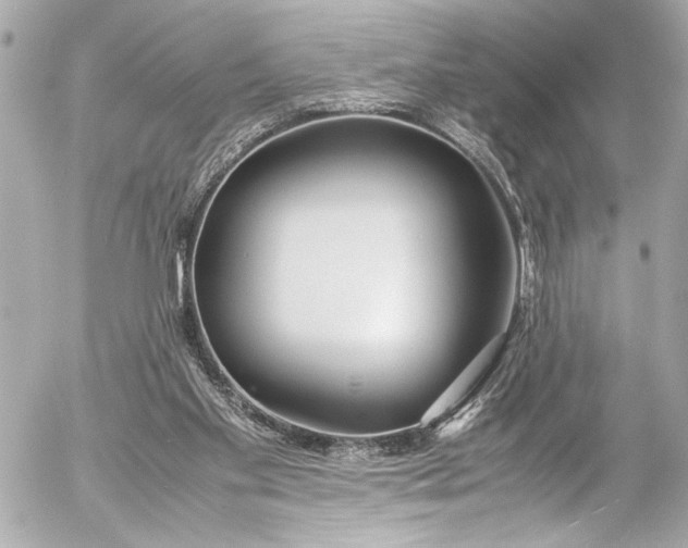 X0000054470109200508191738