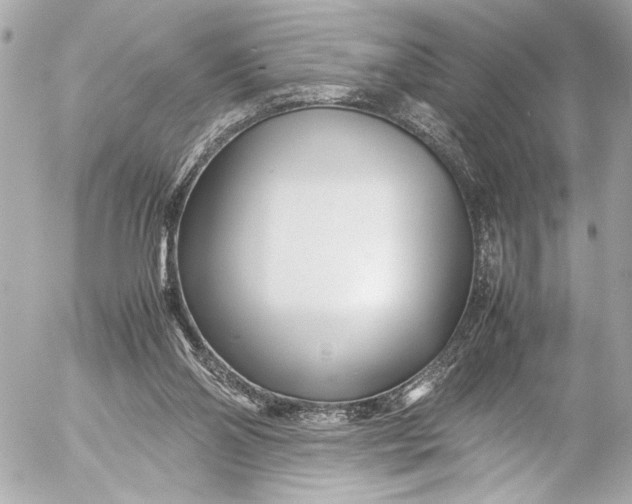 X0000054470110200508191738