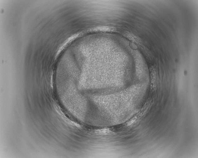 X0000054470112200508191738