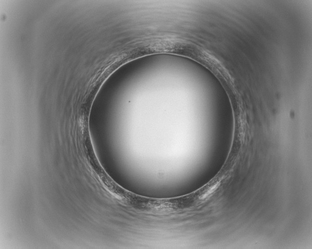 X0000054470113200508191738