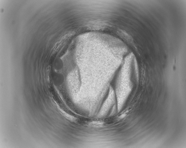 X0000054470114200508191738