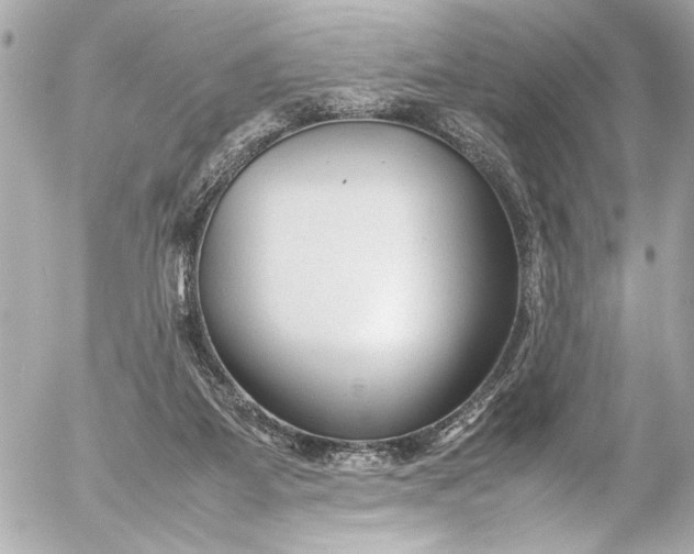 X0000054470115200508191738