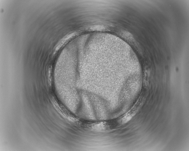 X0000054470116200508191738