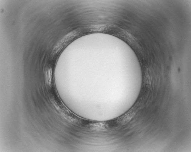 X0000054470118200508191738