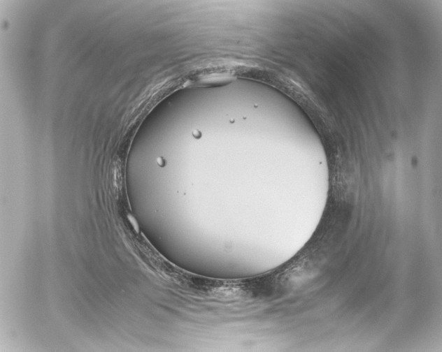 X0000054470119200508191738