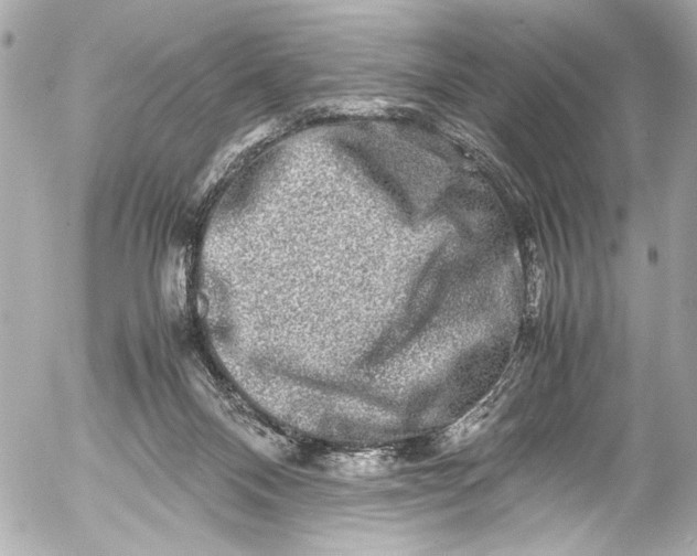 X0000054470120200508191738