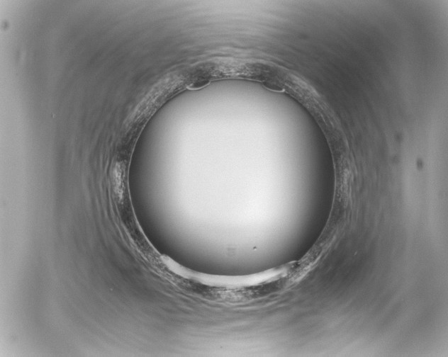 X0000054470121200508191738