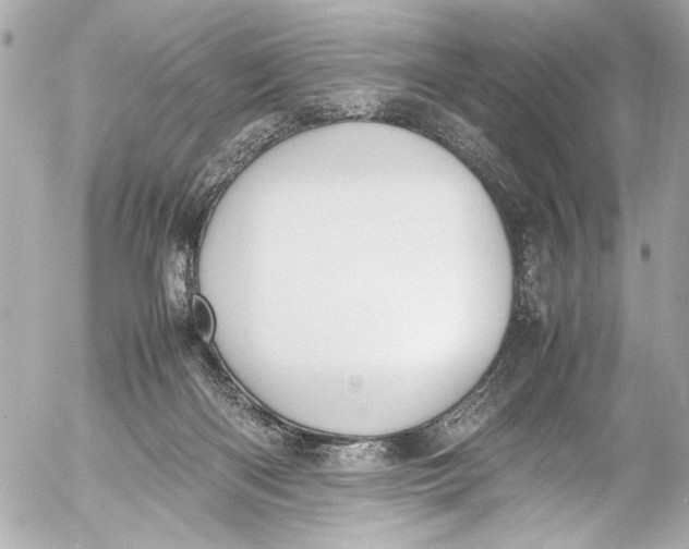 X0000054470122200508191738