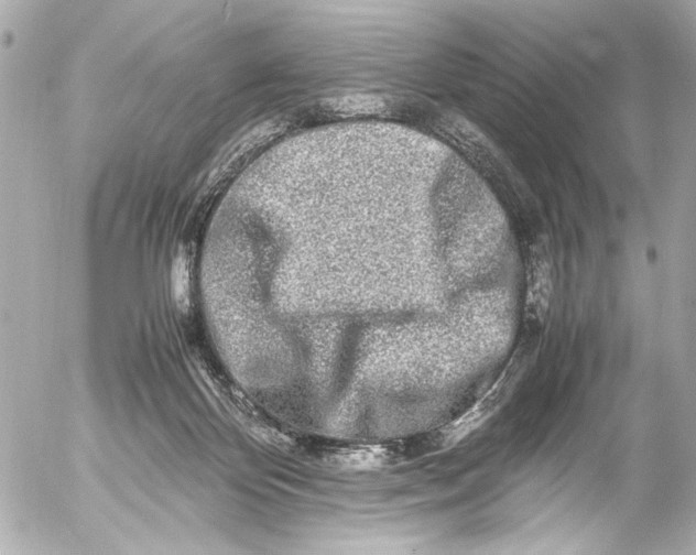 X0000054470124200508191738