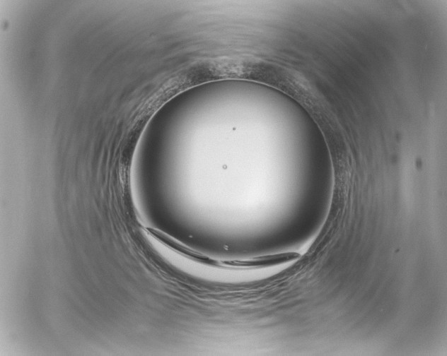 X0000054470125200508191738