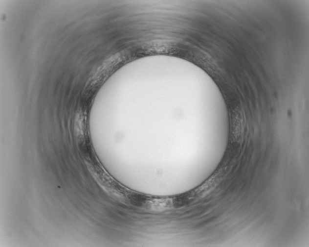 X0000054470126200508191738