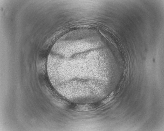 X0000054470127200508191738