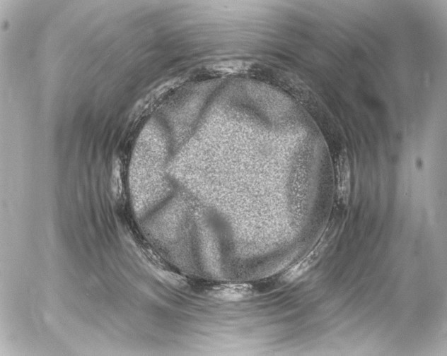 X0000054470128200508191738