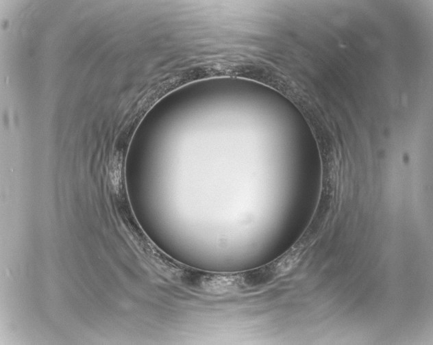 X0000054470129200508191737