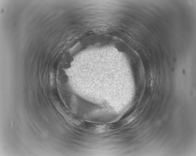 X0000054470130200508191737