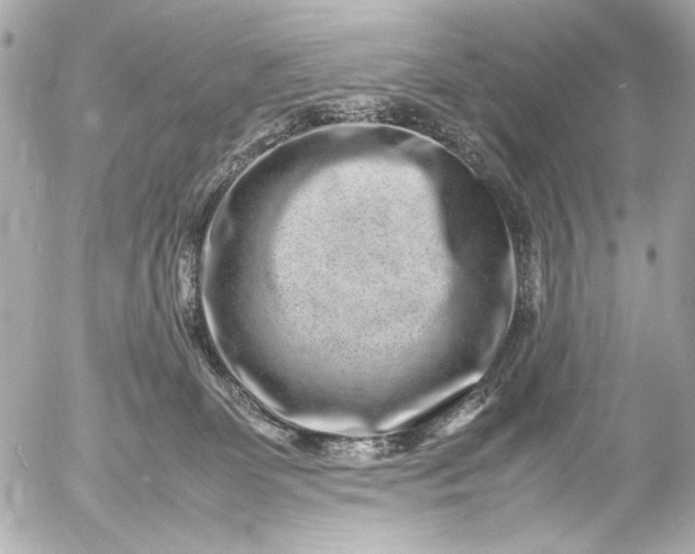 X0000054470131200508191737