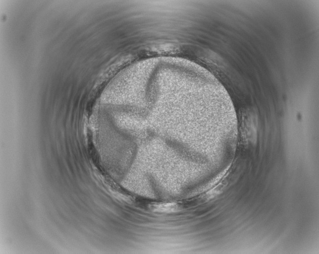 X0000054470132200508191737