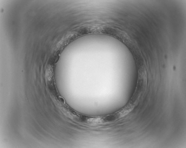 X0000054470133200508191737