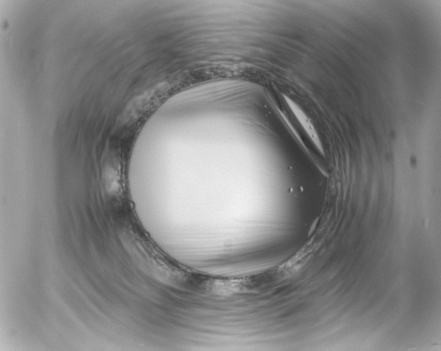 X0000054470134200508191737