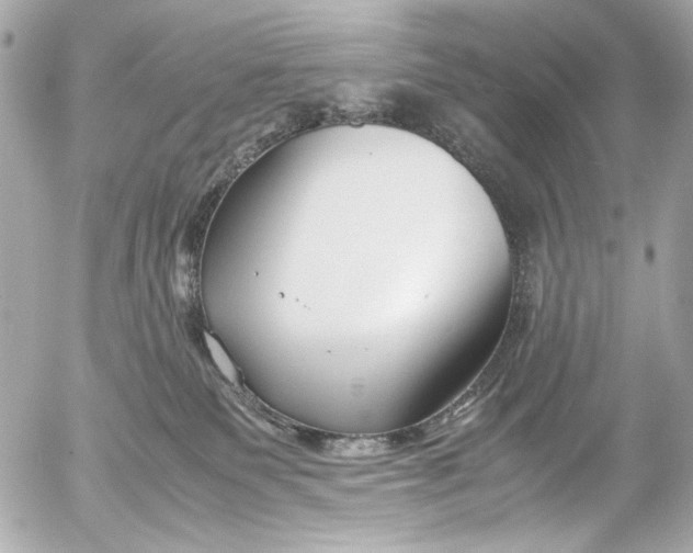 X0000054470135200508191737