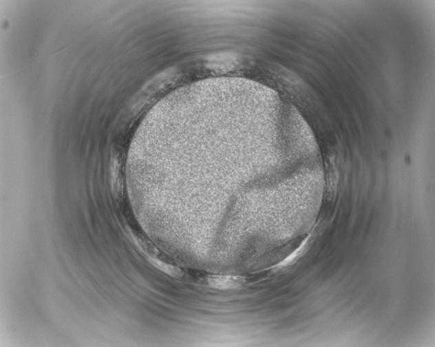 X0000054470136200508191737