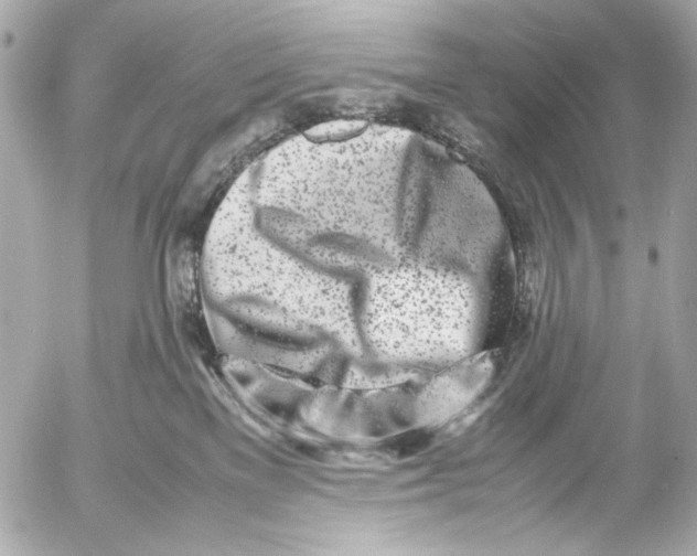 X0000054470137200508191737