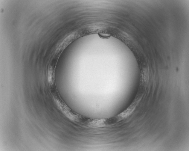 X0000054470138200508191737