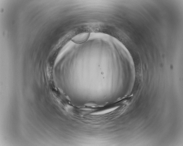 X0000054470139200508191737