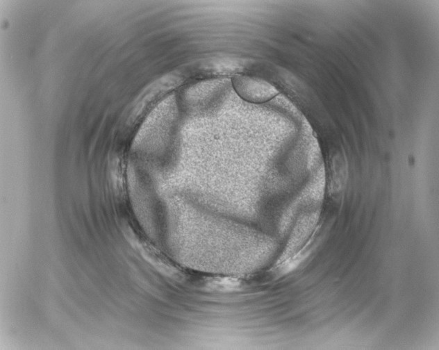 X0000054470140200508191737